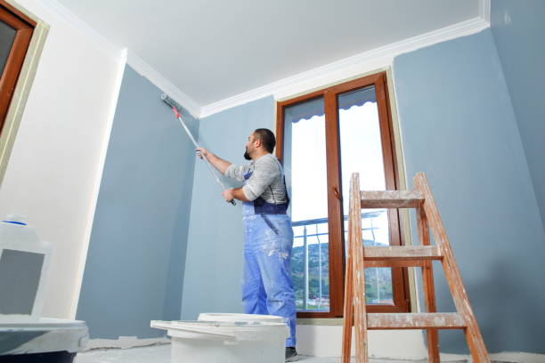 Best Drywall Sanding and Smoothing  in USA